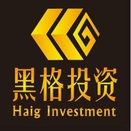 深入解析 常州黑格投资咨询的专业投资咨询服务价值与选择指南